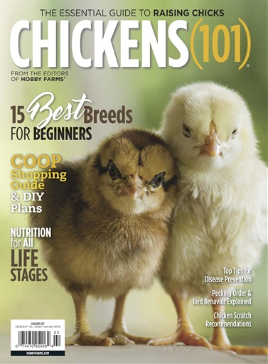 Chickens Magazine issue 