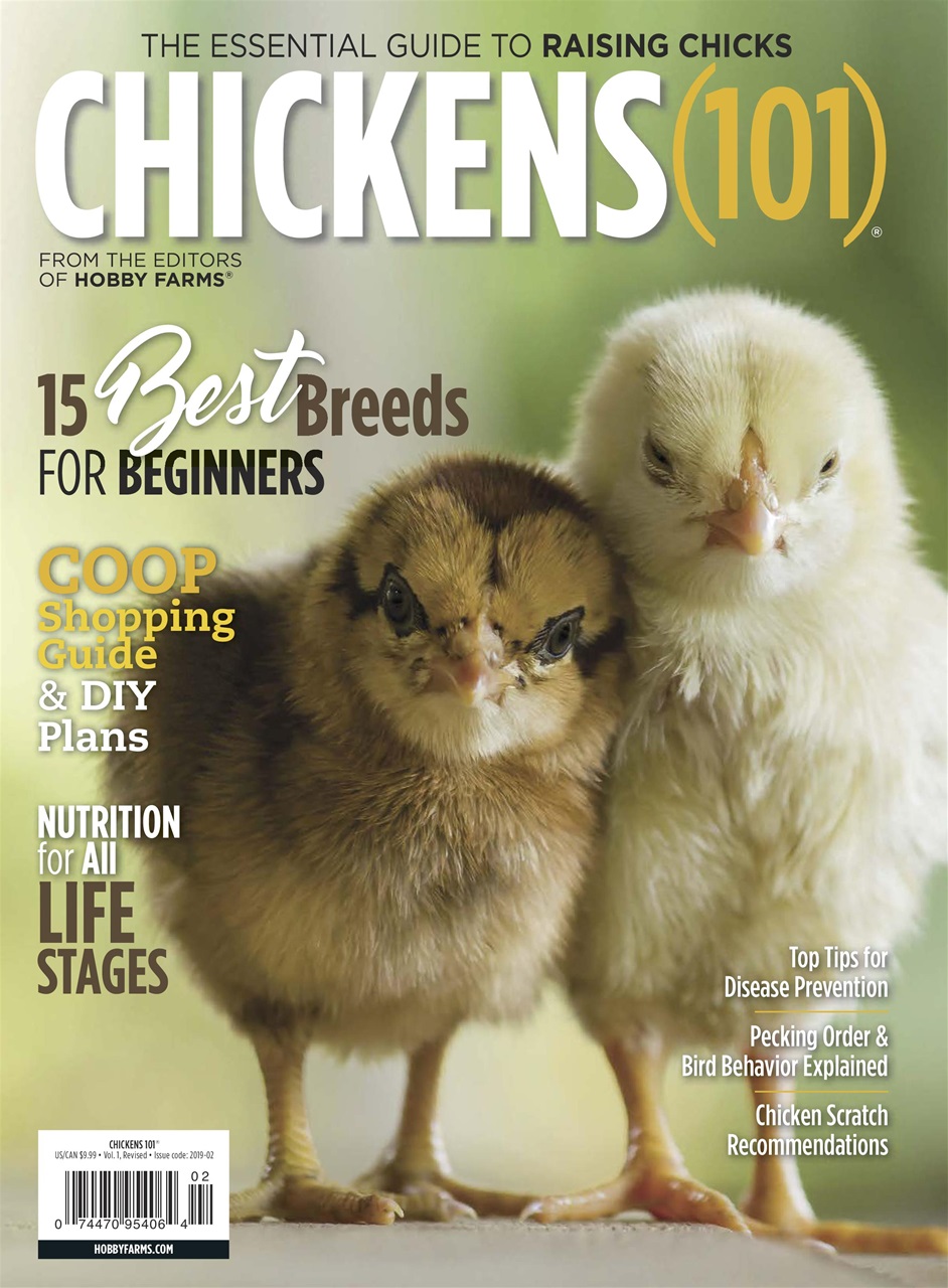 Chickens Magazine Preview Pages