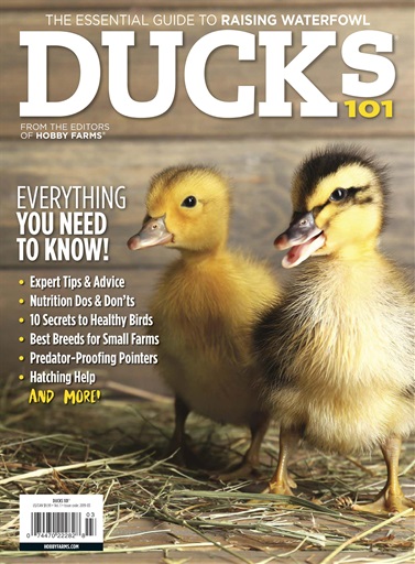 Chickens Magazine issue 