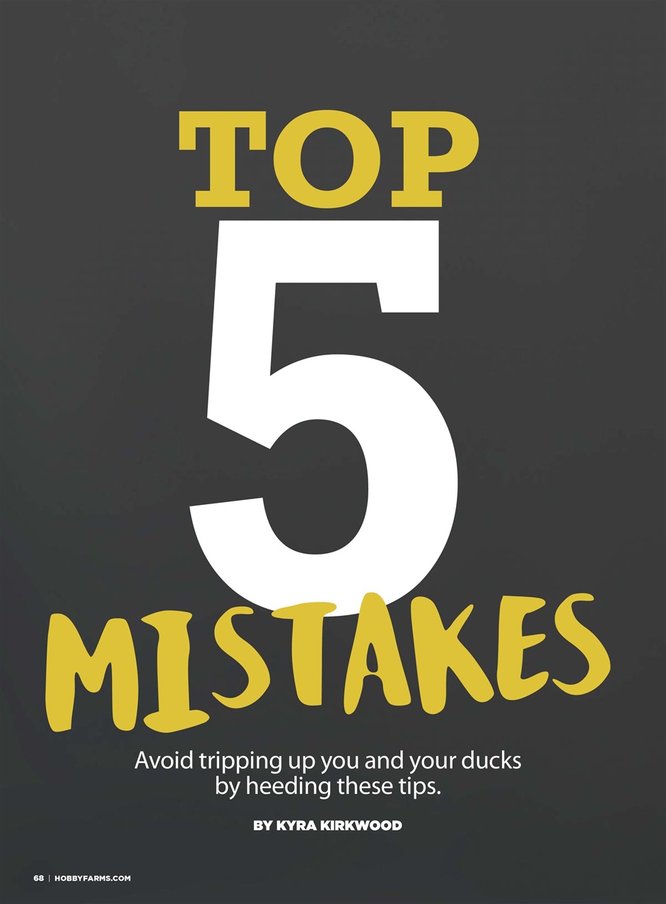 Chickens Magazine Preview Pages