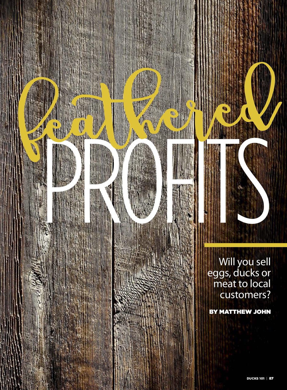 Chickens Magazine Preview Pages