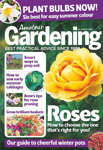 Amateur Gardening issue 26th January 2019