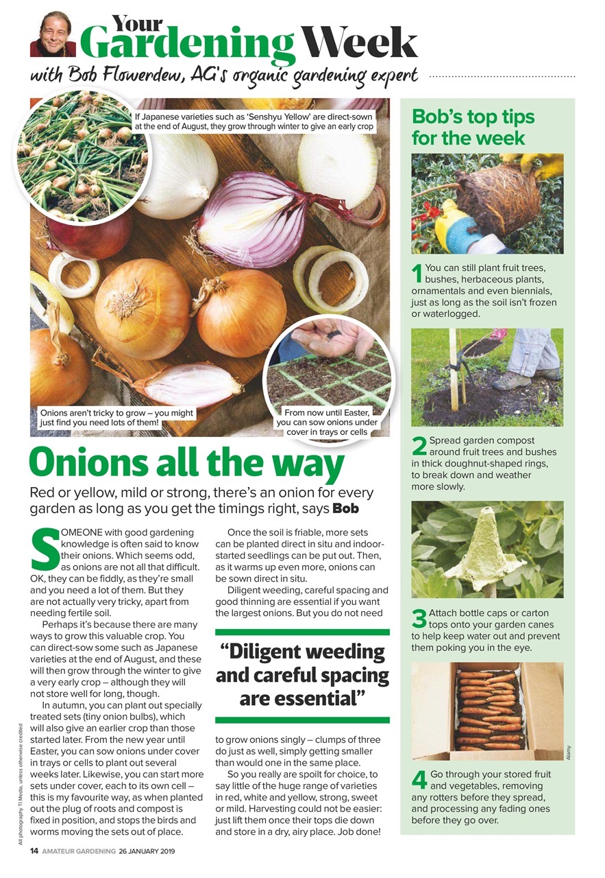 Amateur Gardening Preview Pages
