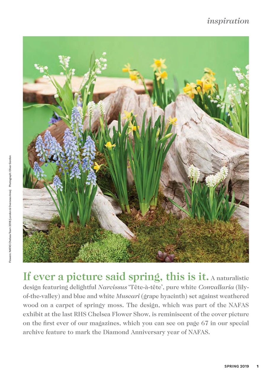 The Flower Arranger Preview Pages