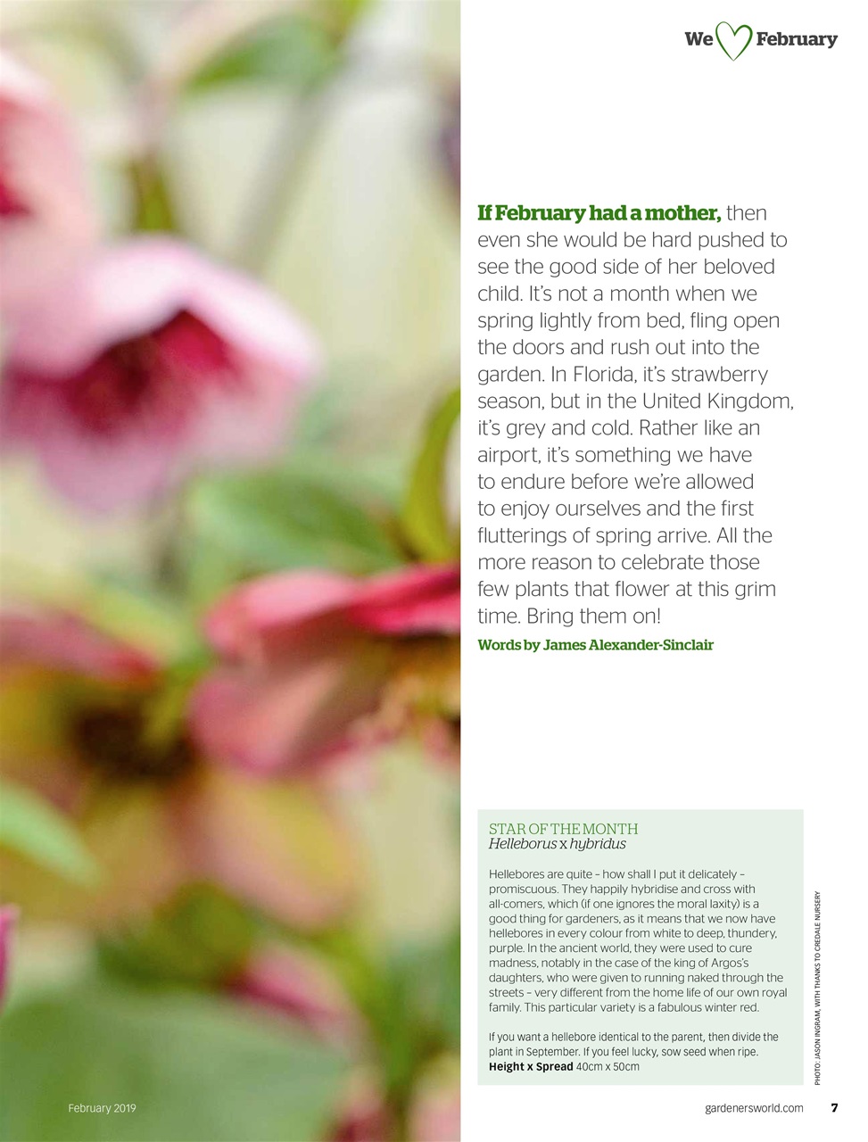 BBC Gardeners’ World Magazine Preview Pages
