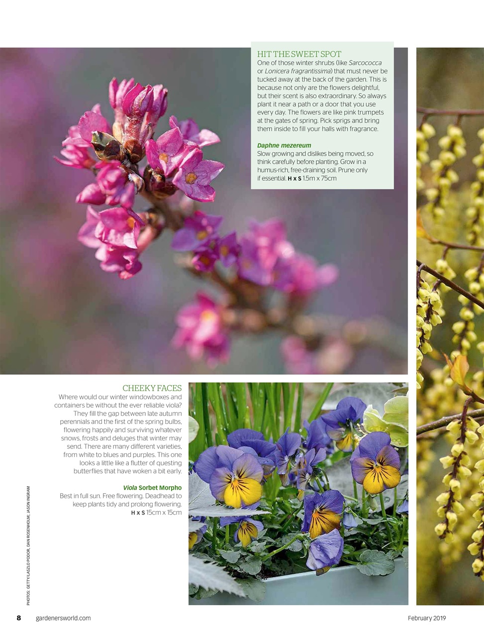 BBC Gardeners’ World Magazine Preview Pages