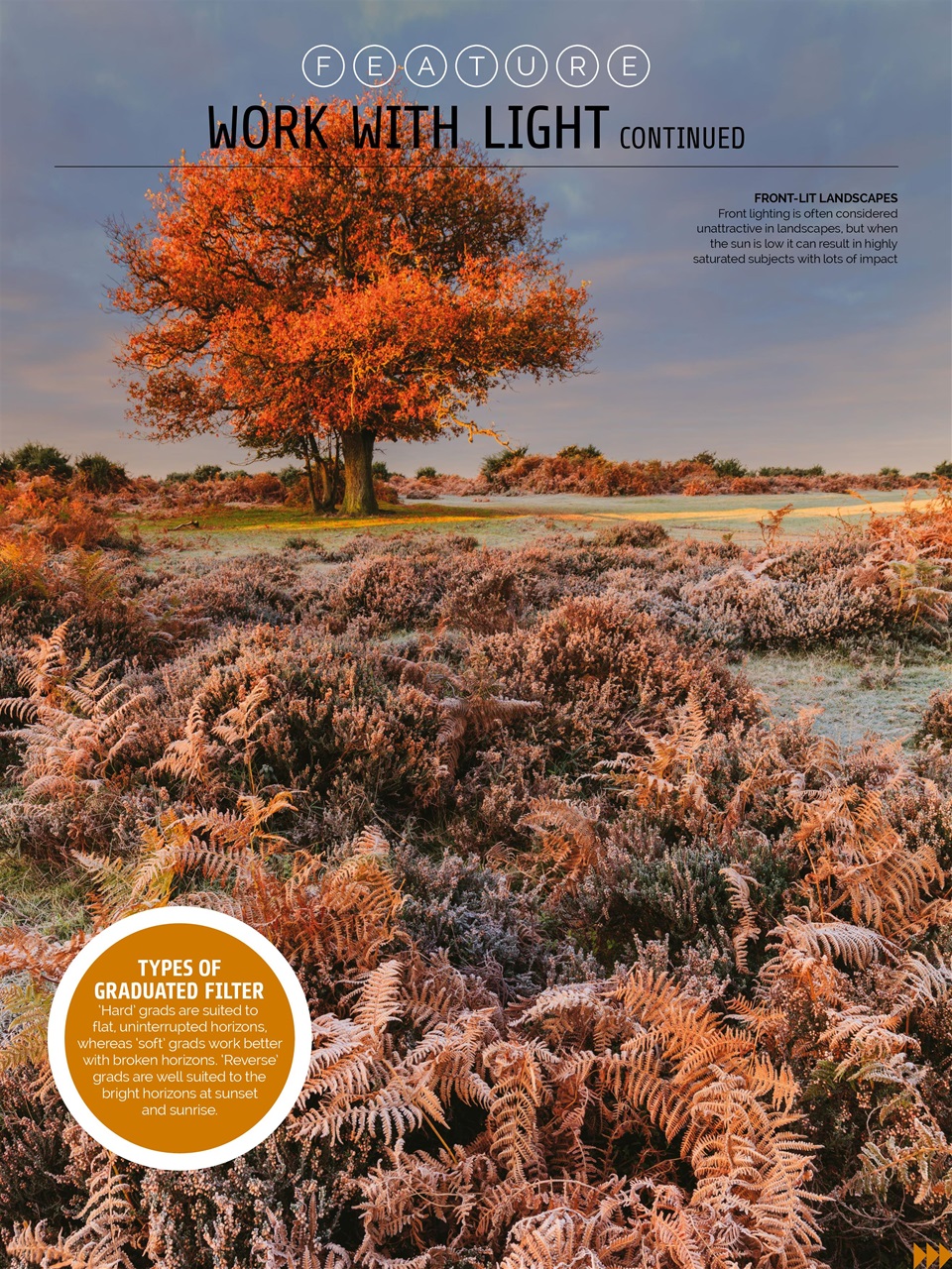 Photography Week Preview Pages