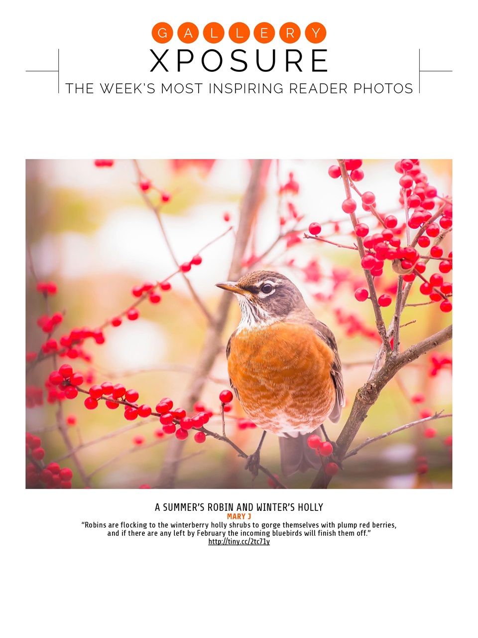 Photography Week Preview Pages