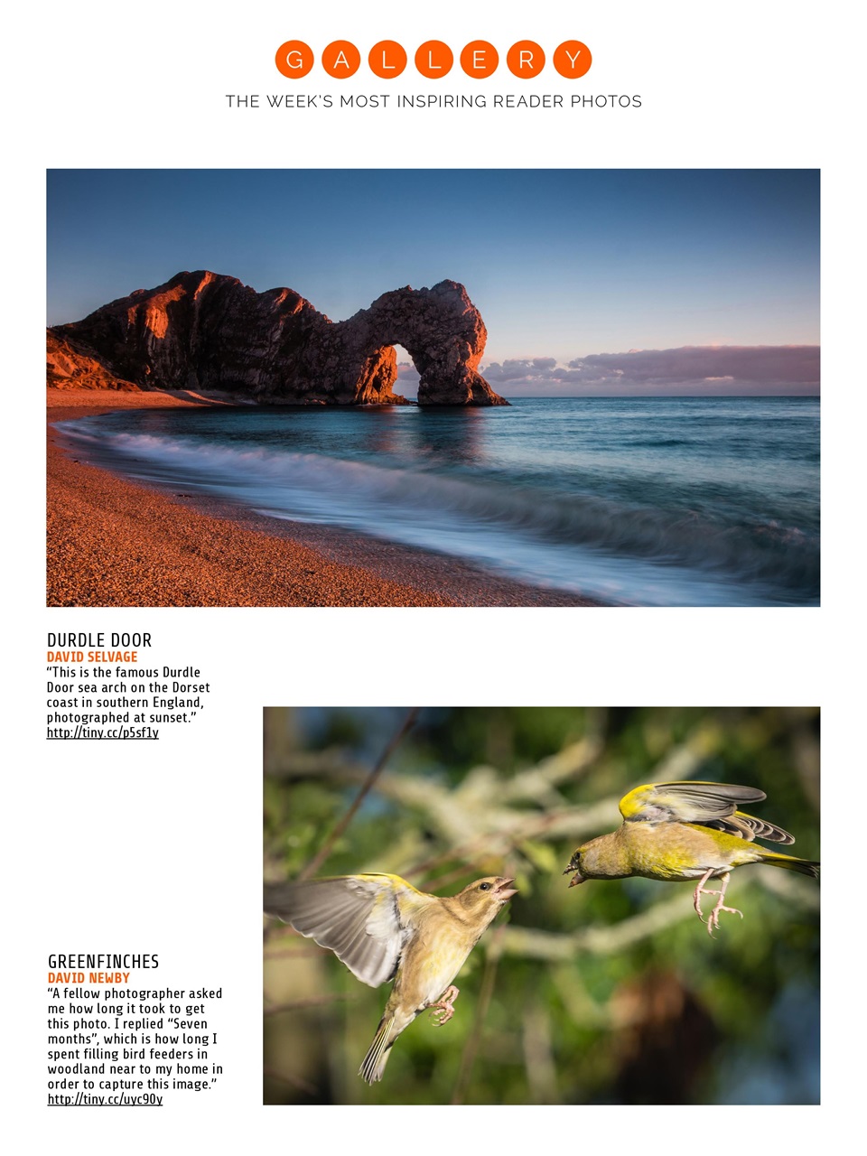 Photography Week Preview Pages