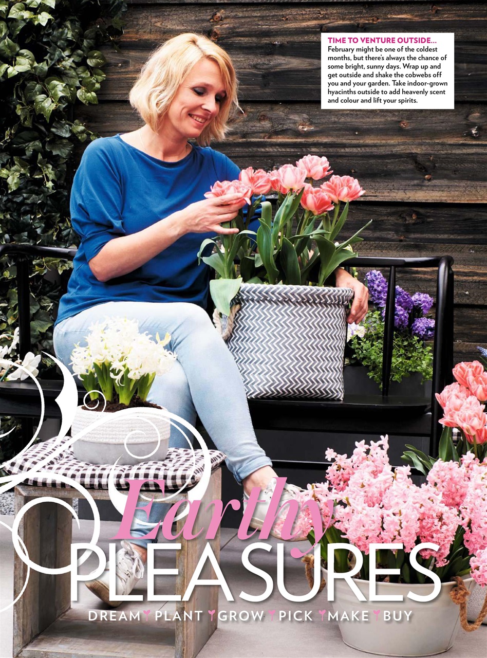 Modern Gardens Preview Pages