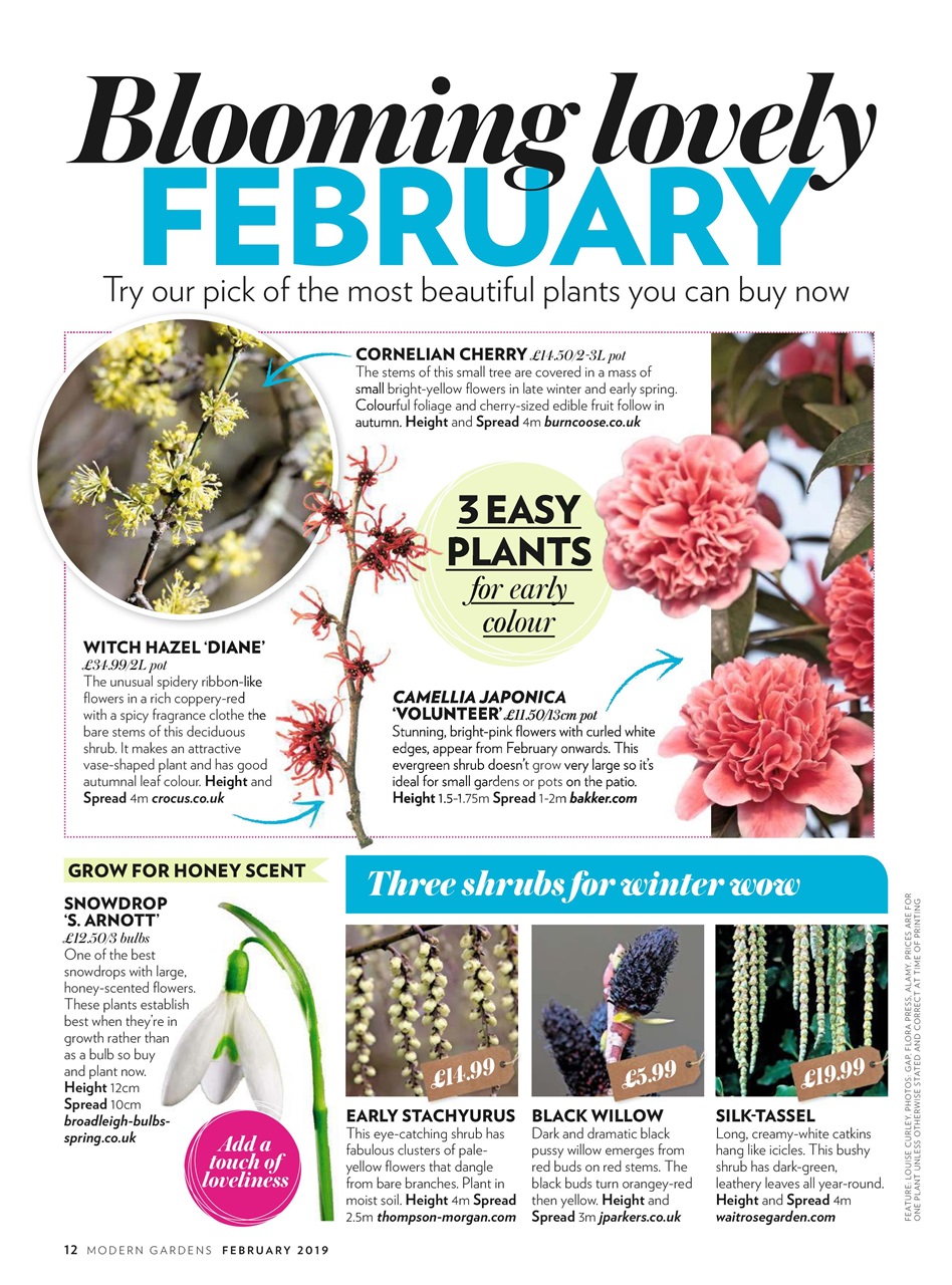 Modern Gardens Preview Pages