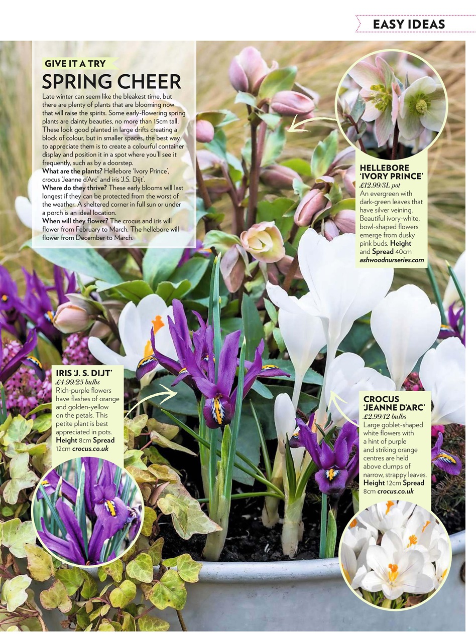 Modern Gardens Preview Pages