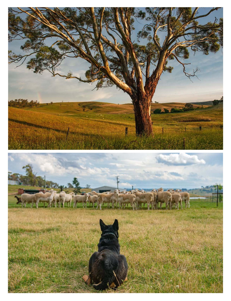 OUTBACK Magazine Preview Pages