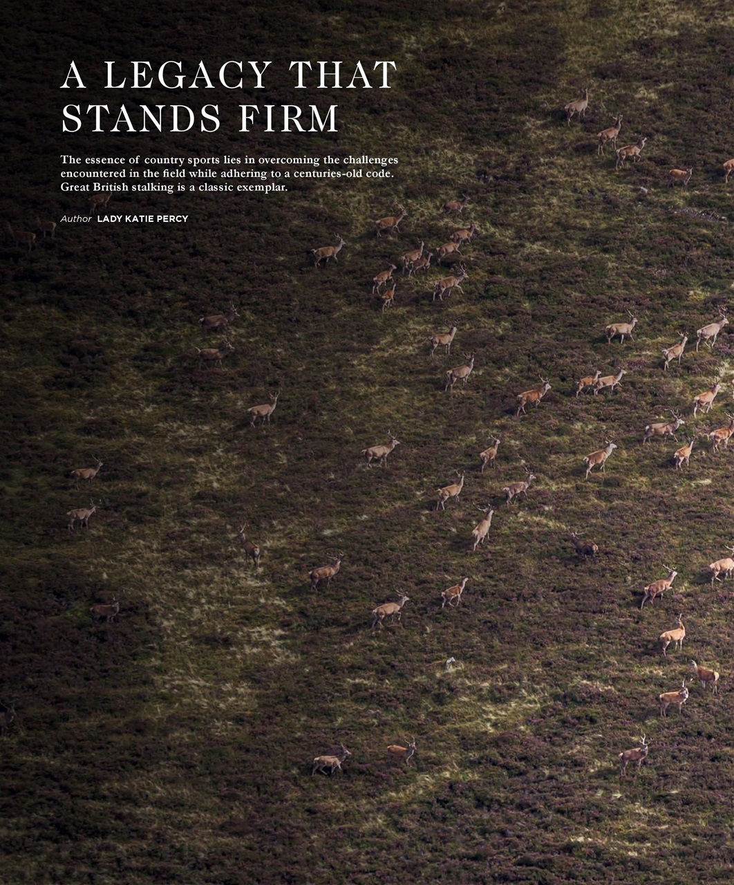 Fieldsports Journal Preview Pages