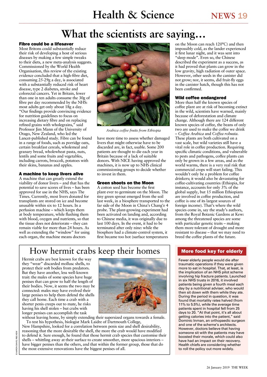 The Week Preview Pages