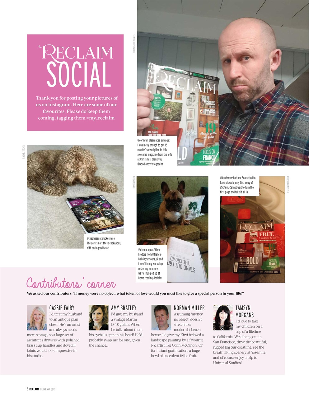 Reclaim Preview Pages