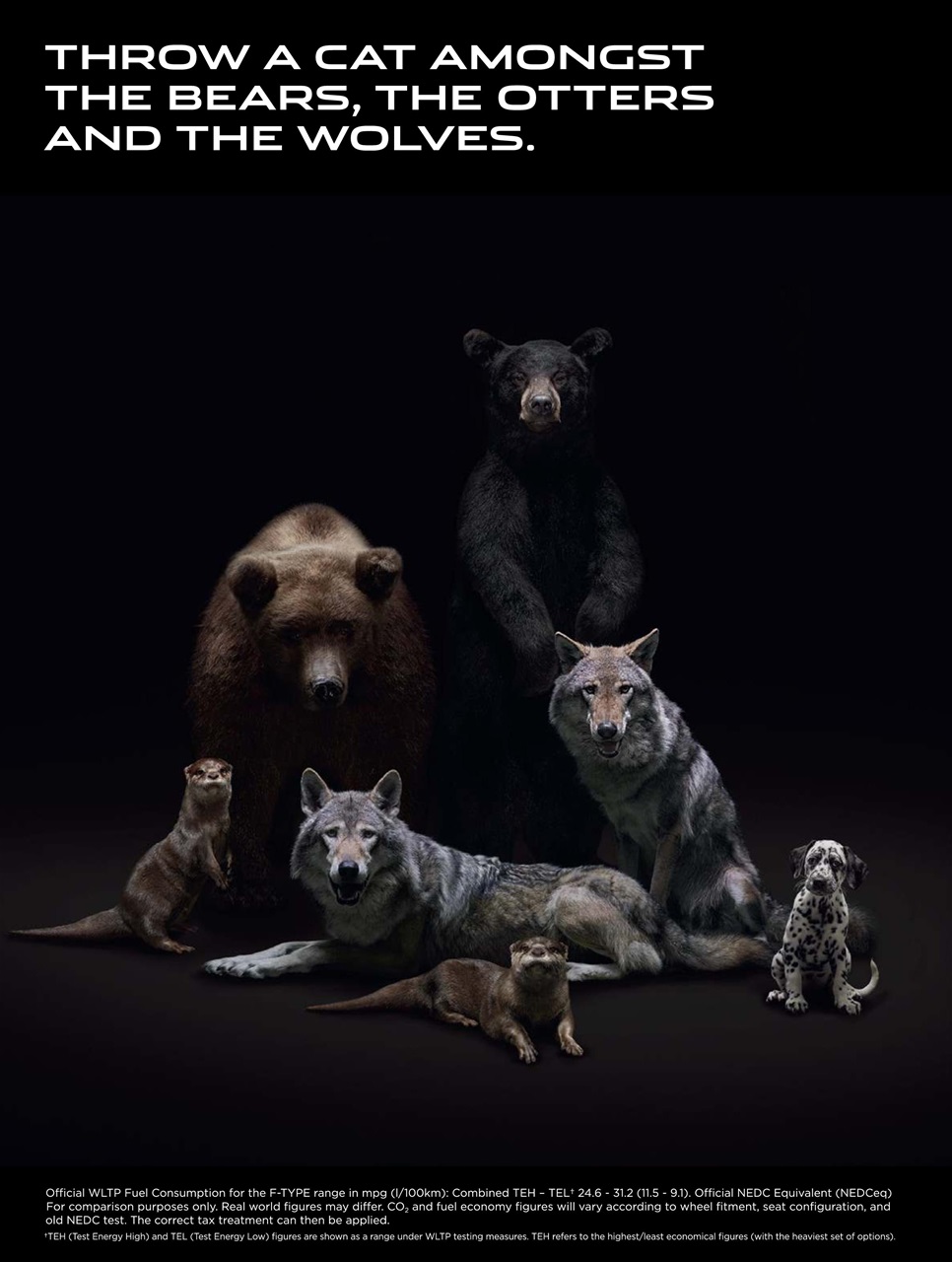 Attitude Preview Pages