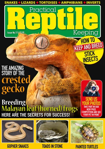 Practical Reptile Keeping issue Issue 111