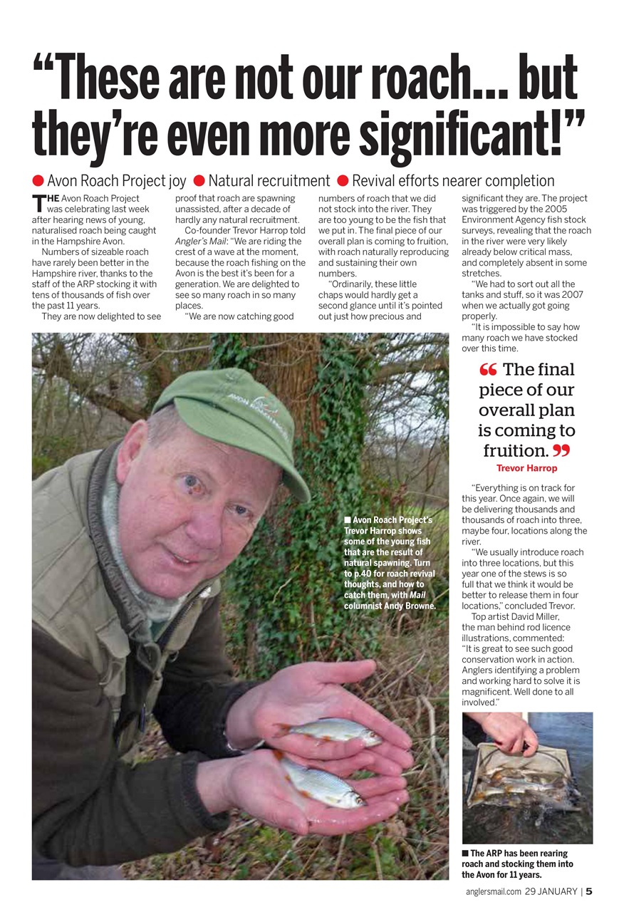 Anglers Mail Preview Pages