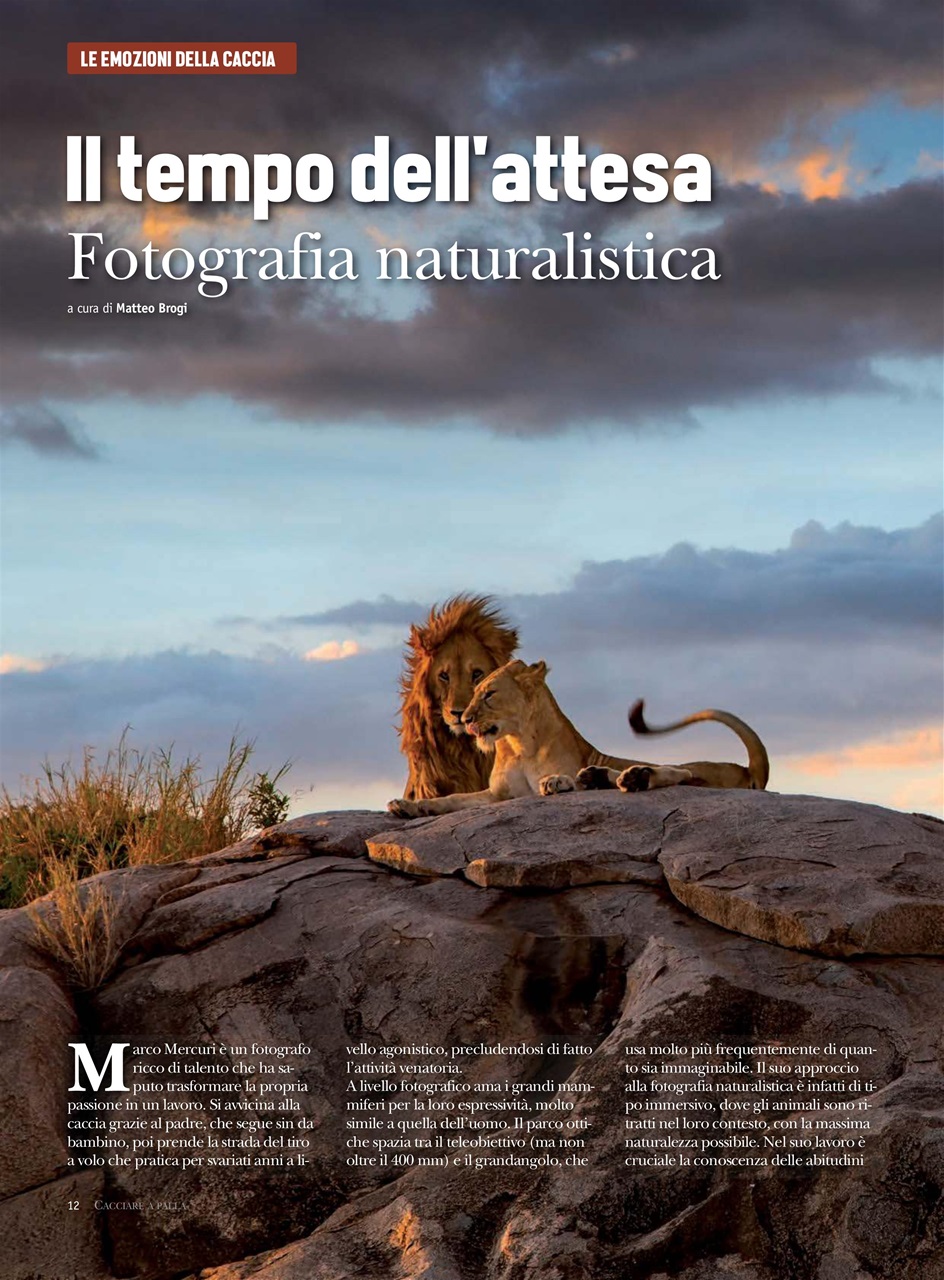 Caccia Magazine Preview Pages