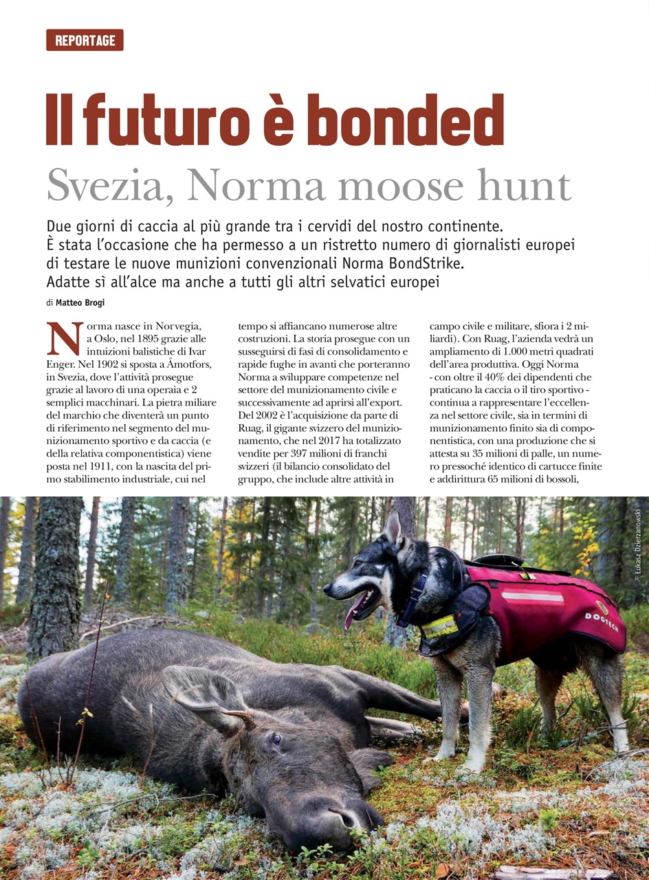 Caccia Magazine Preview Pages