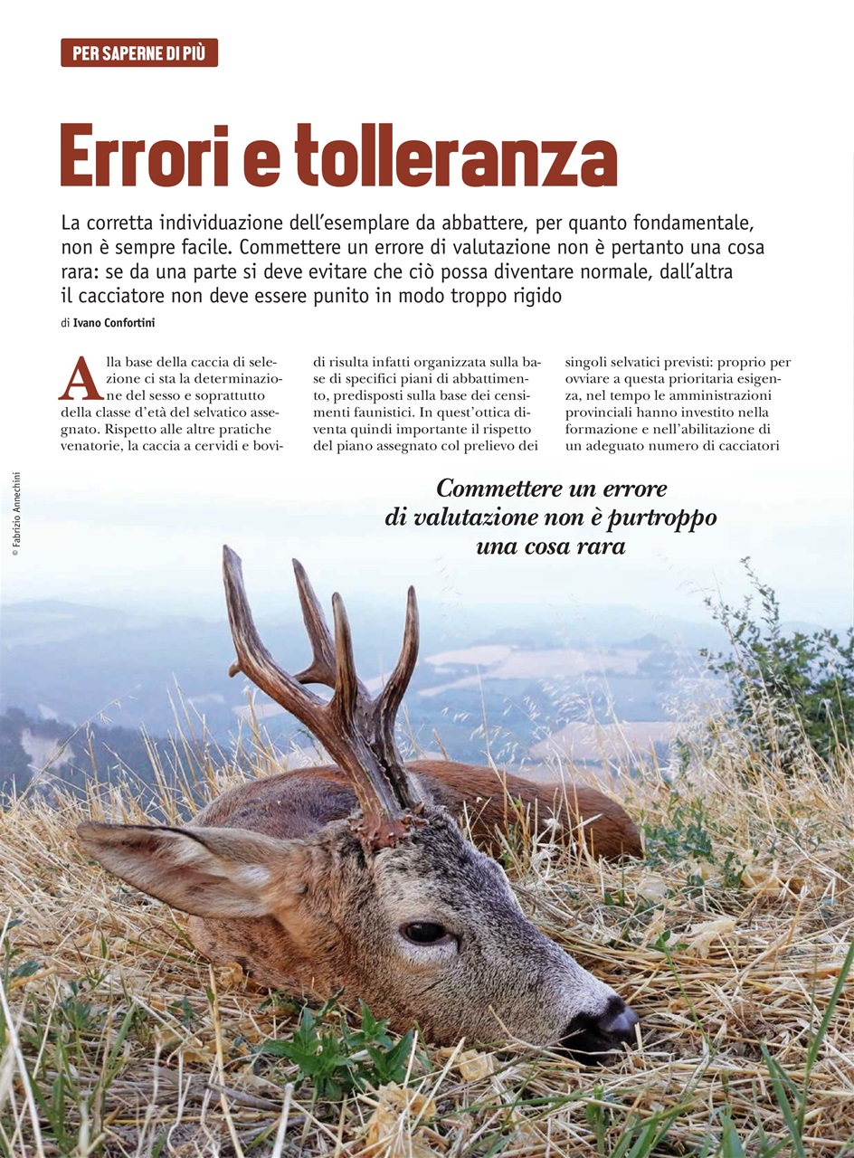 Caccia Magazine Preview Pages