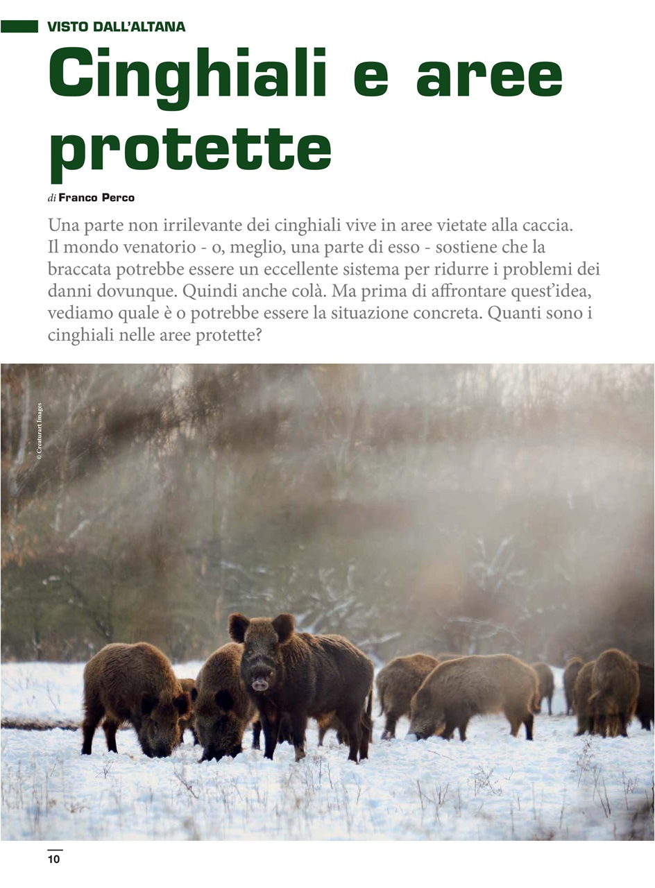 IL CINGHIALE CHE PASSIONE Preview Pages