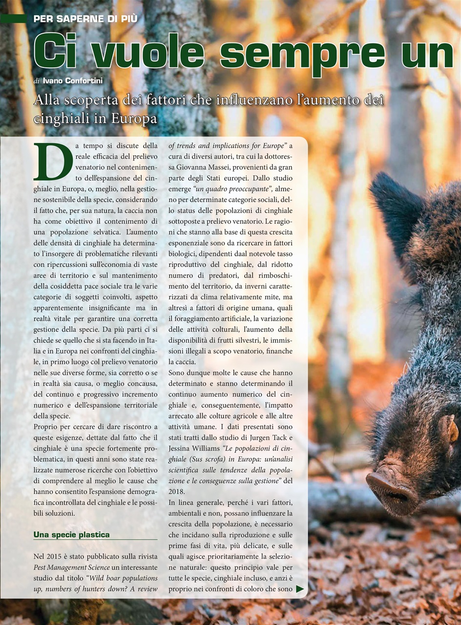 IL CINGHIALE CHE PASSIONE Preview Pages