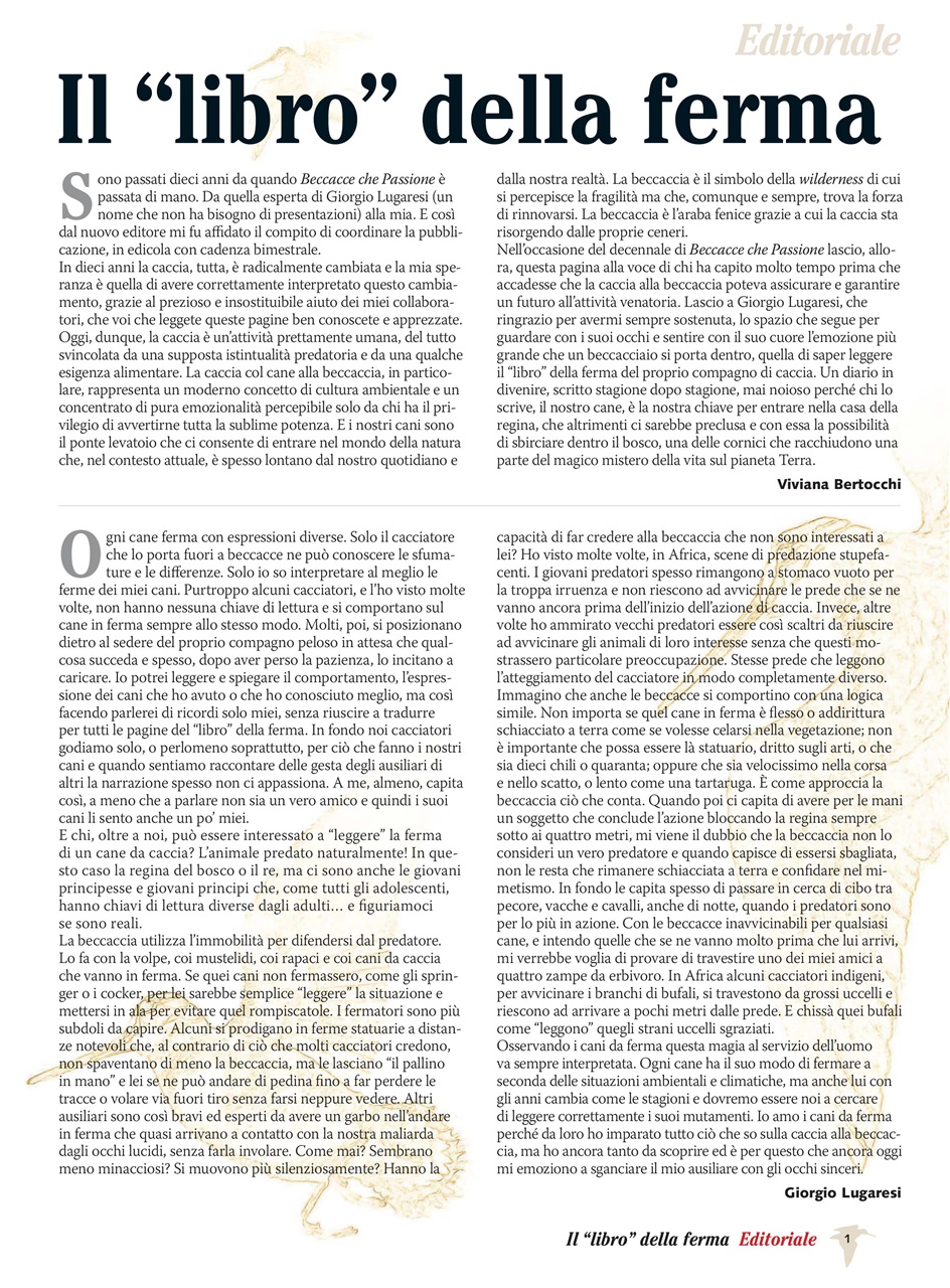 BECCACCE CHE PASSIONE Preview Pages