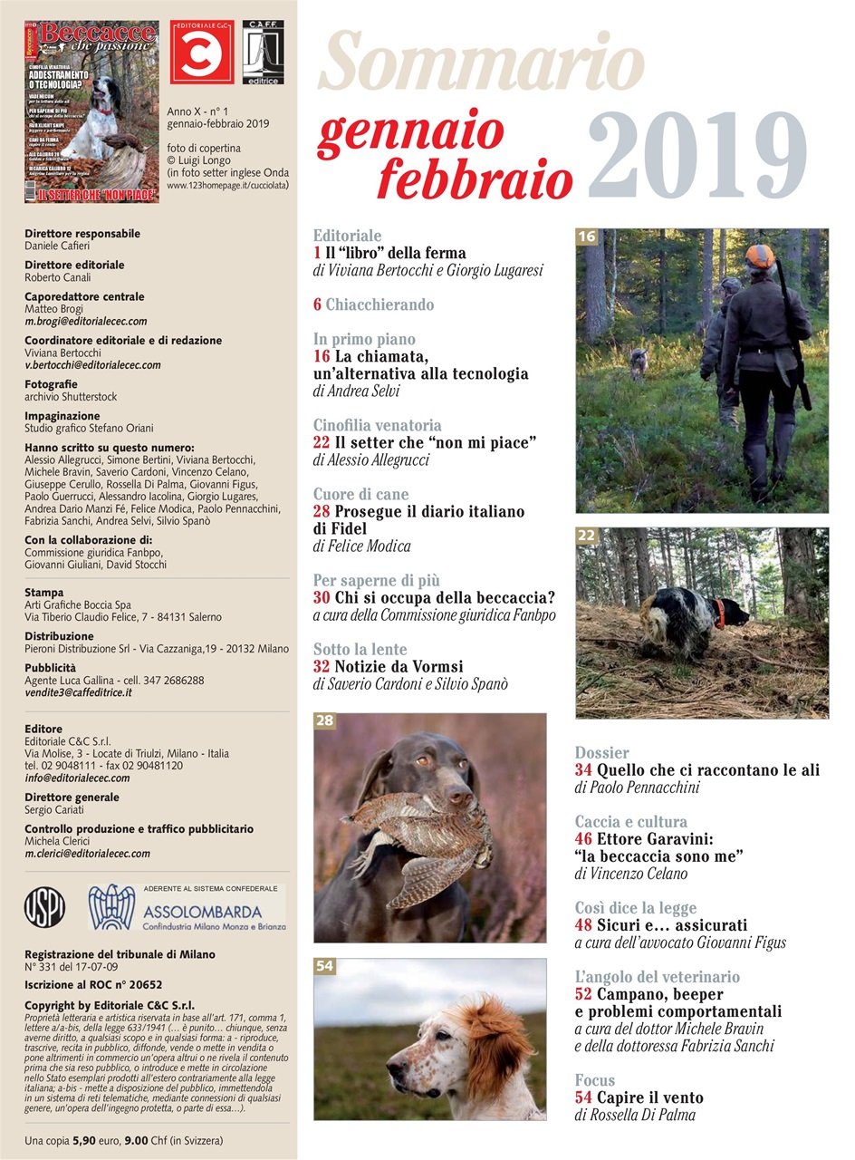 BECCACCE CHE PASSIONE Preview Pages