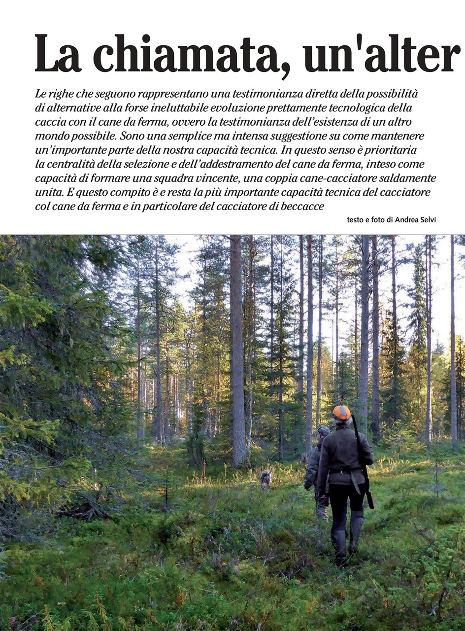 BECCACCE CHE PASSIONE Preview Pages