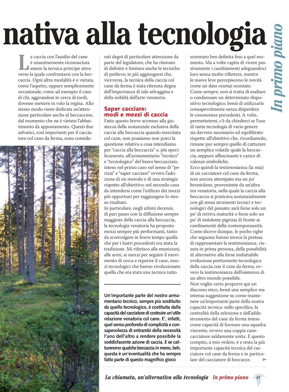 BECCACCE CHE PASSIONE Preview Pages