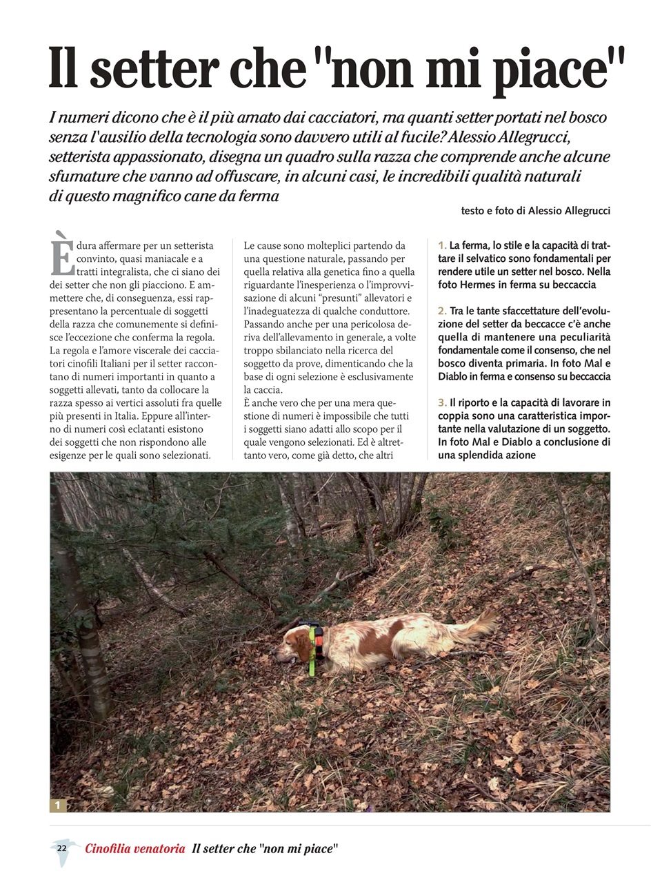 BECCACCE CHE PASSIONE Preview Pages