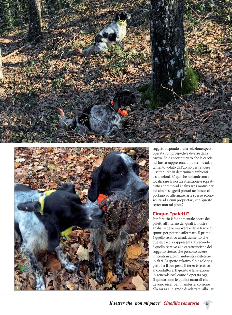 BECCACCE CHE PASSIONE Preview Pages