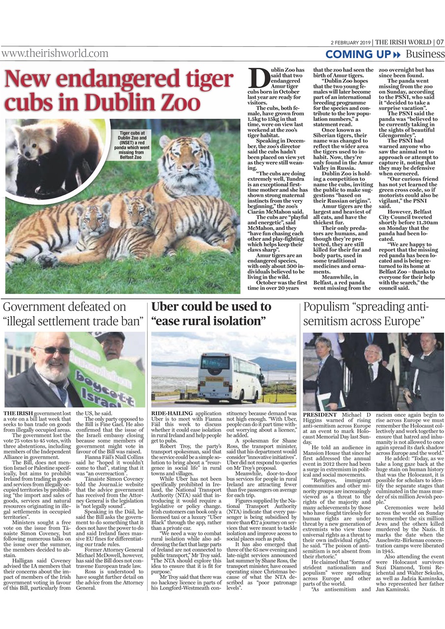 Irish World Preview Pages