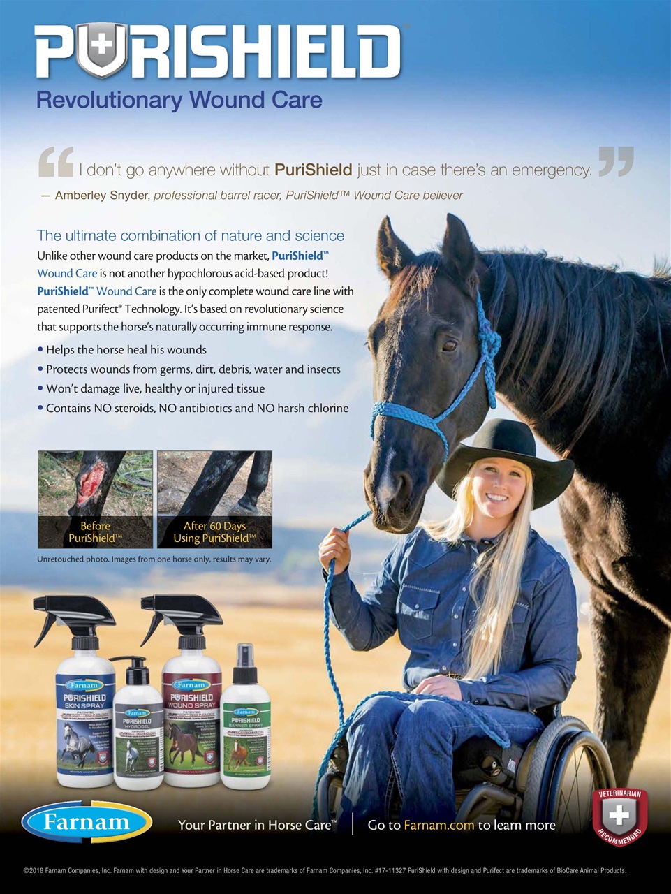 Young Rider Magazine Preview Pages