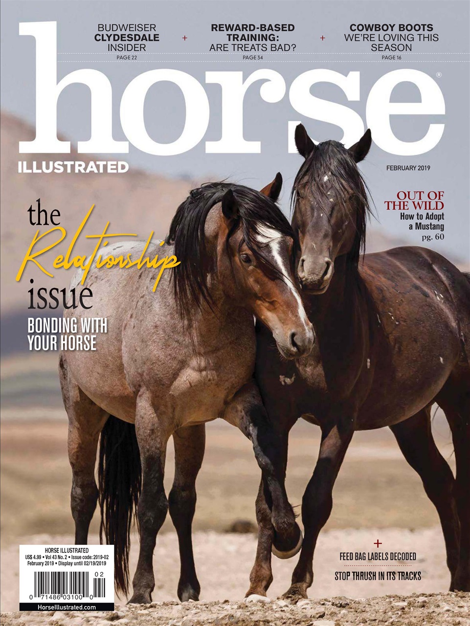 Horse Illustrated Magazine Preview Pages