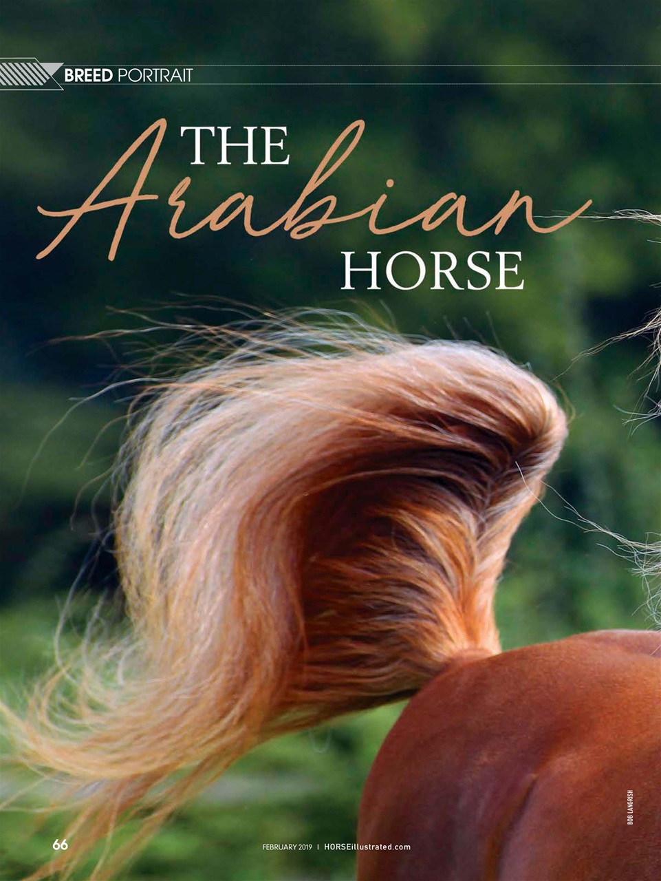 Horse Illustrated Magazine Preview Pages