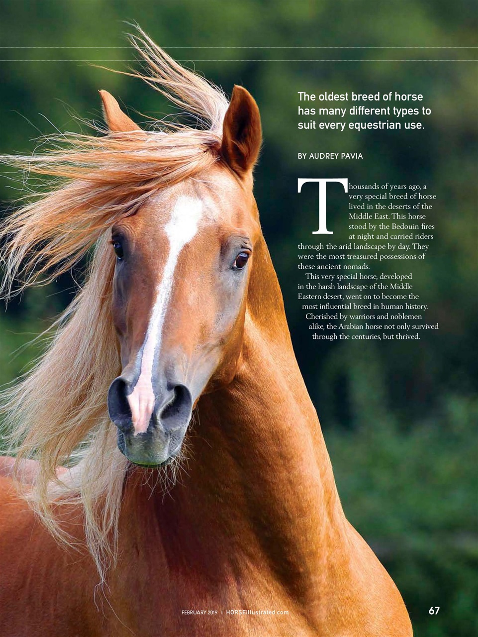 Horse Illustrated Magazine Preview Pages
