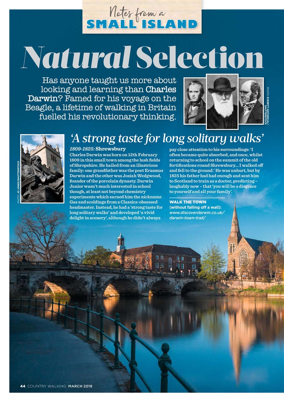 Country Walking Preview Pages