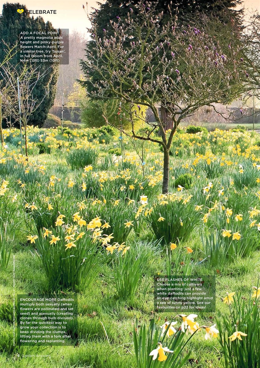 Garden Answers Preview Pages