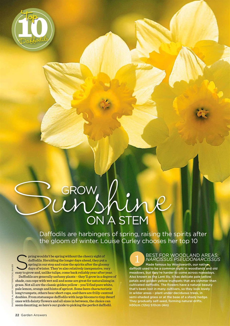 Garden Answers Preview Pages