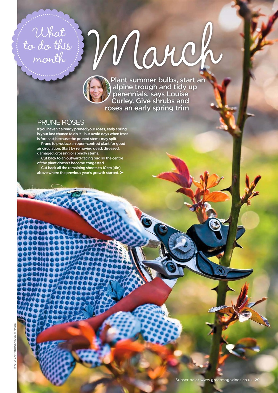 Garden Answers Preview Pages