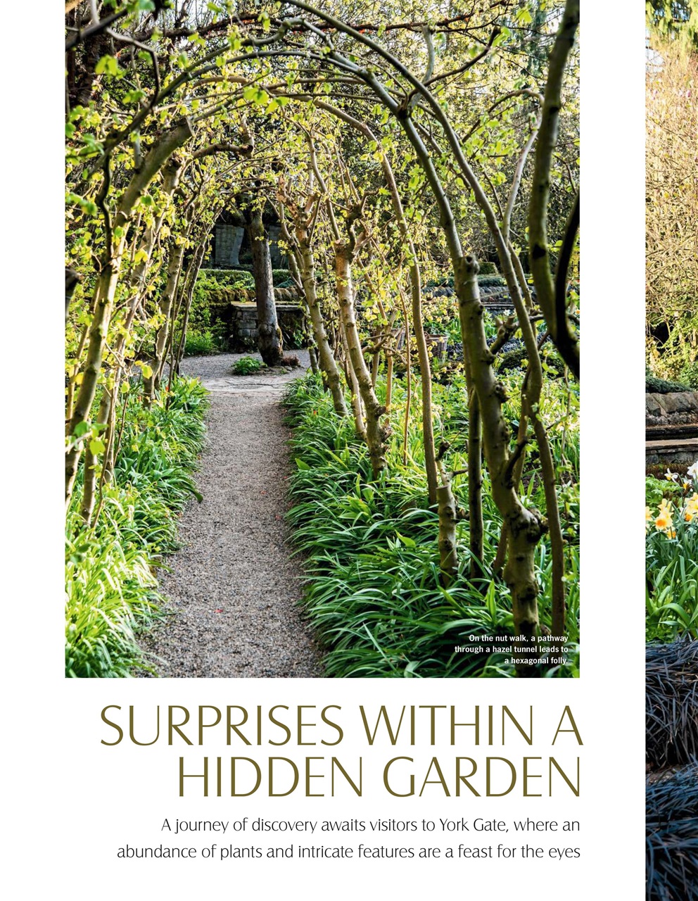 LandScape Preview Pages