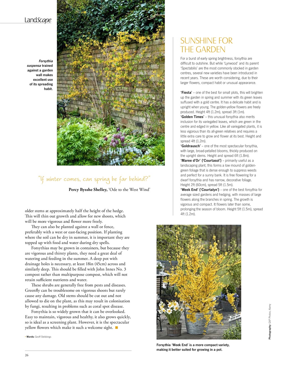 LandScape Preview Pages