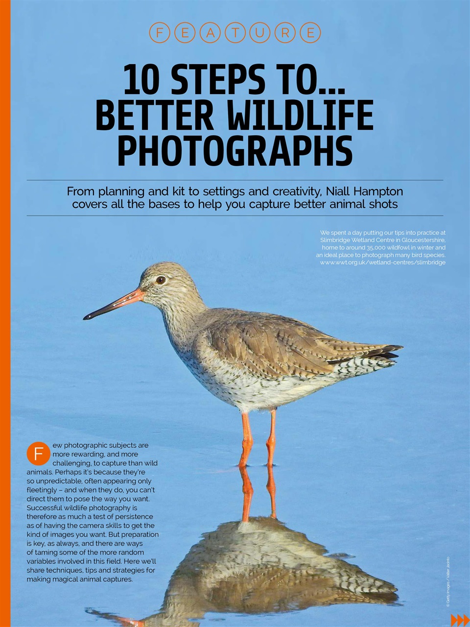 Photography Week Preview Pages