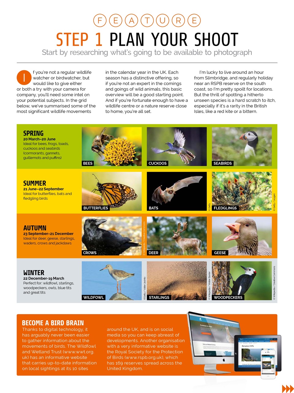 Photography Week Preview Pages