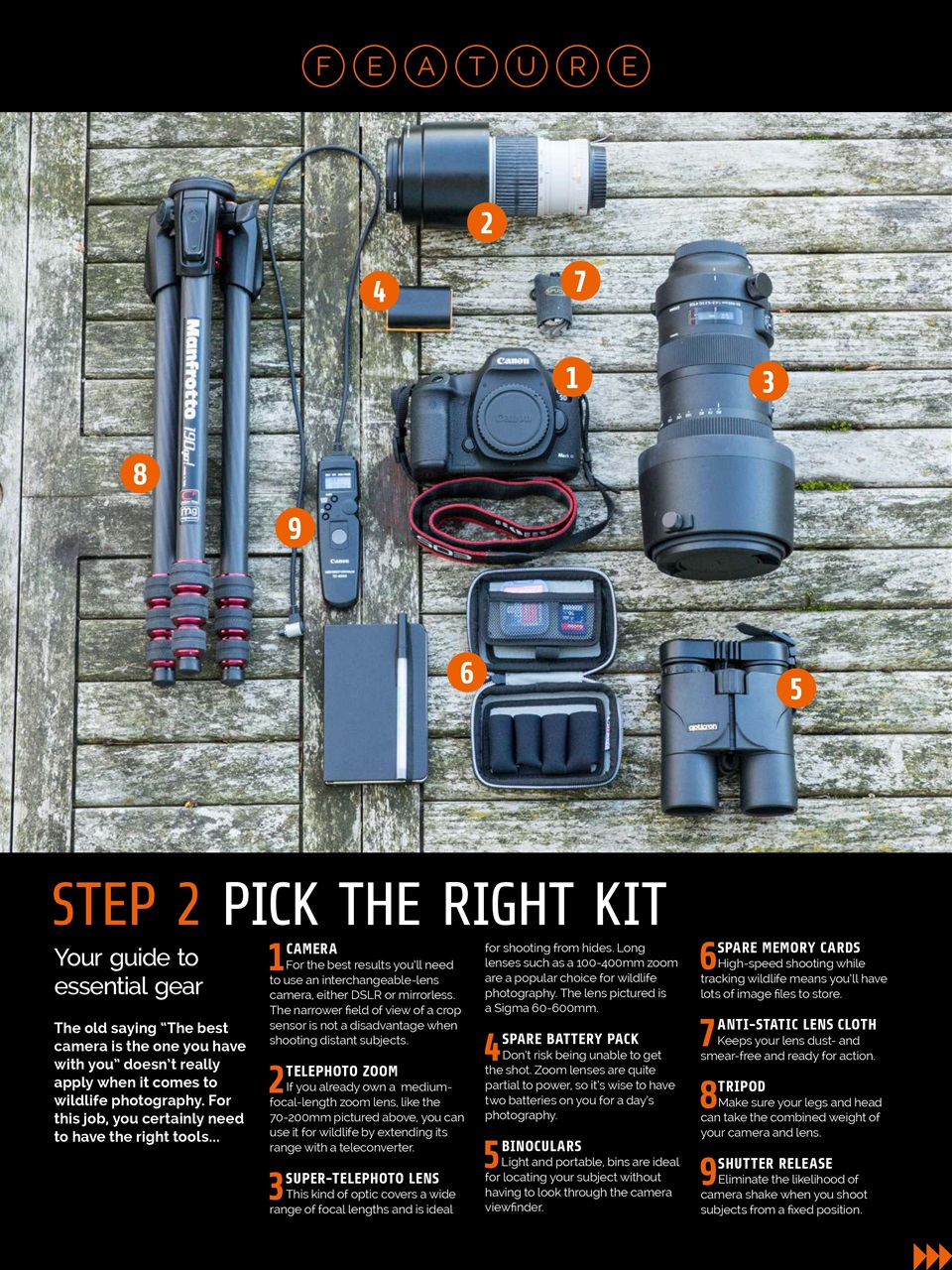 Photography Week Preview Pages