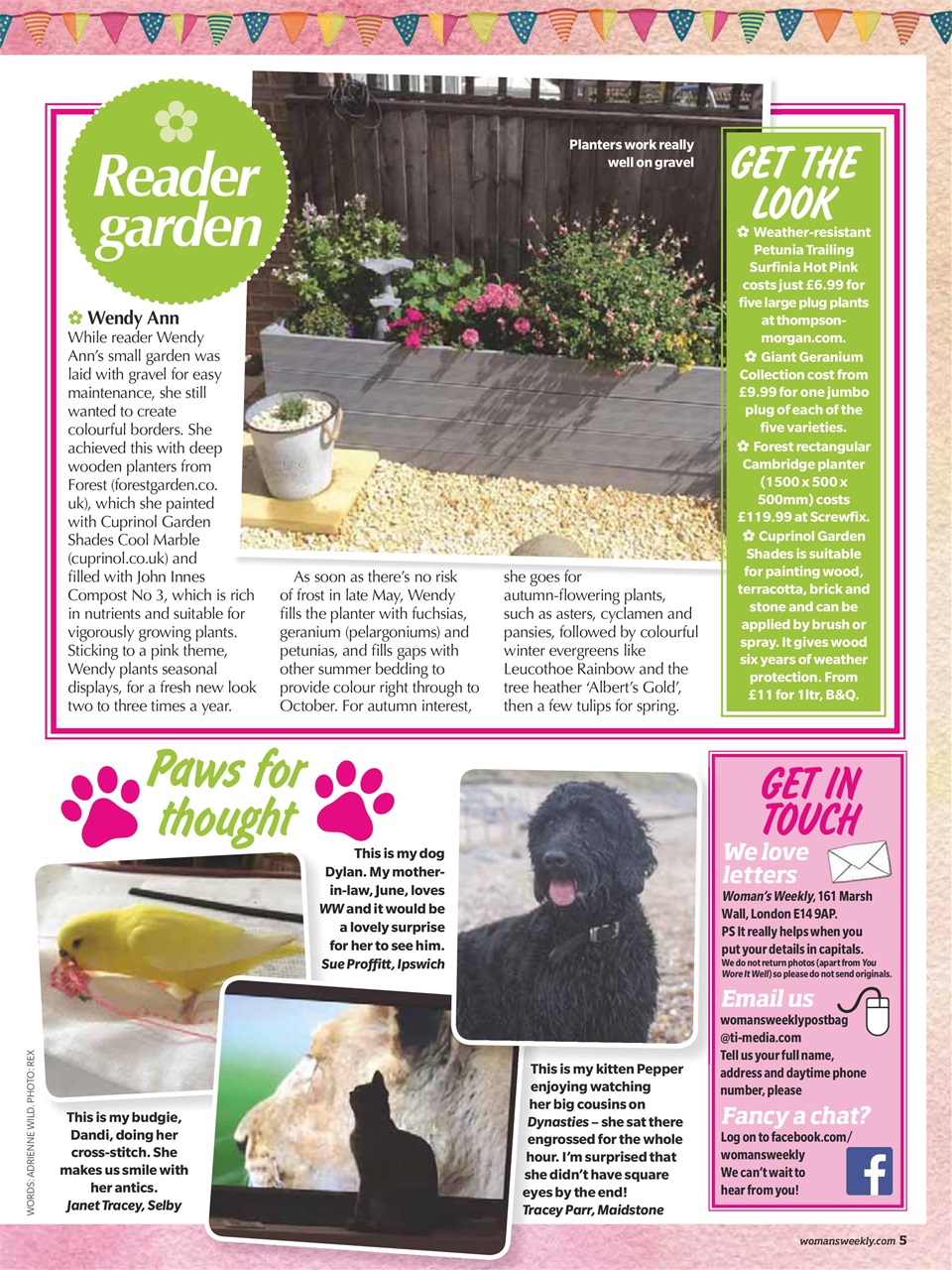 Woman's Weekly Preview Pages