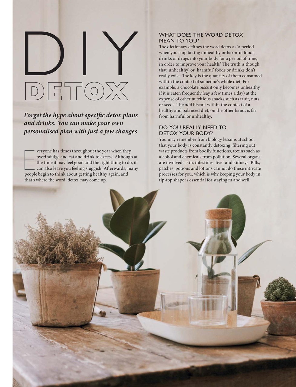 New Year New You Preview Pages